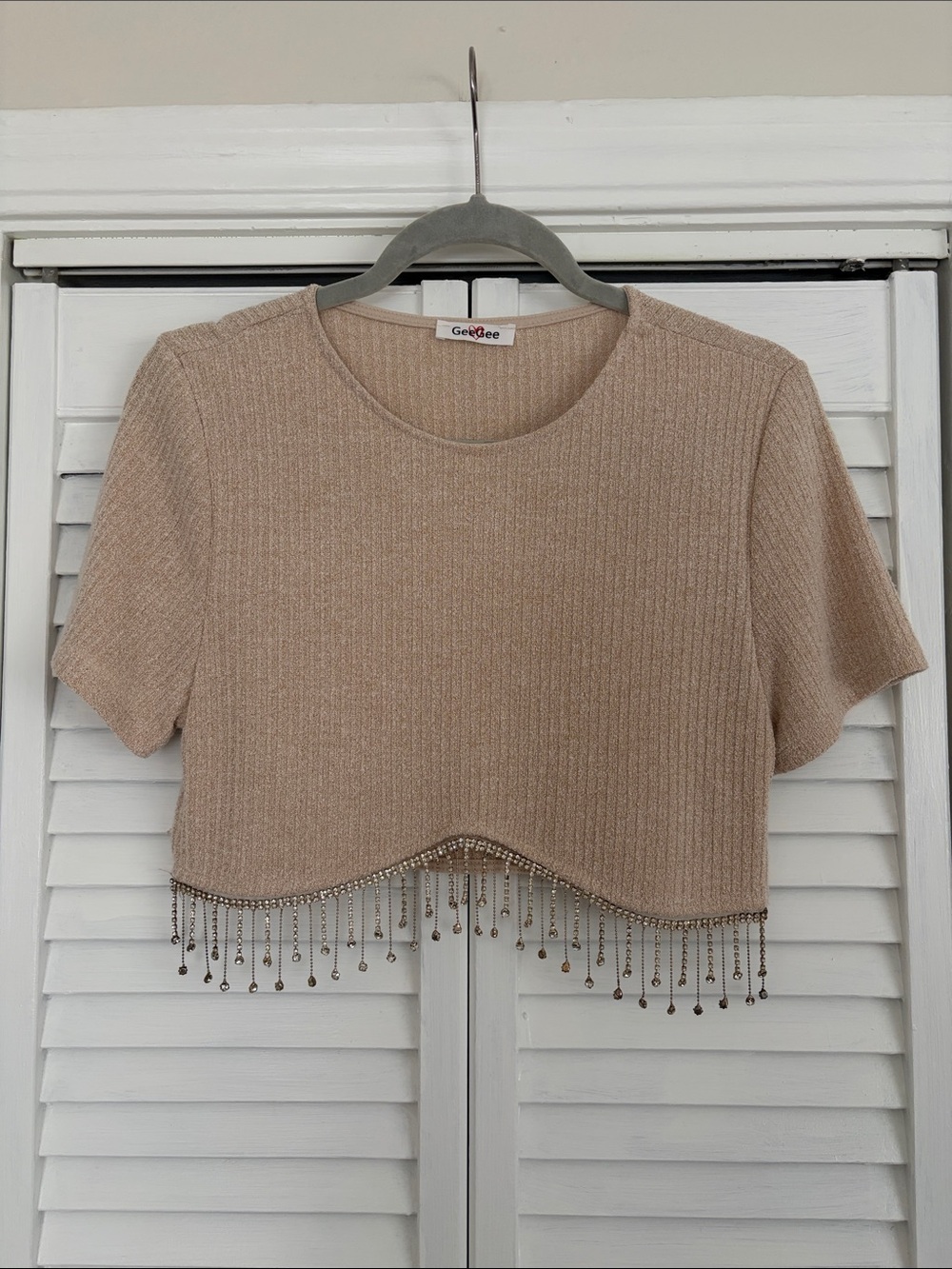 Beige GeeGee Cropped Knit Top with Beaded Fringe